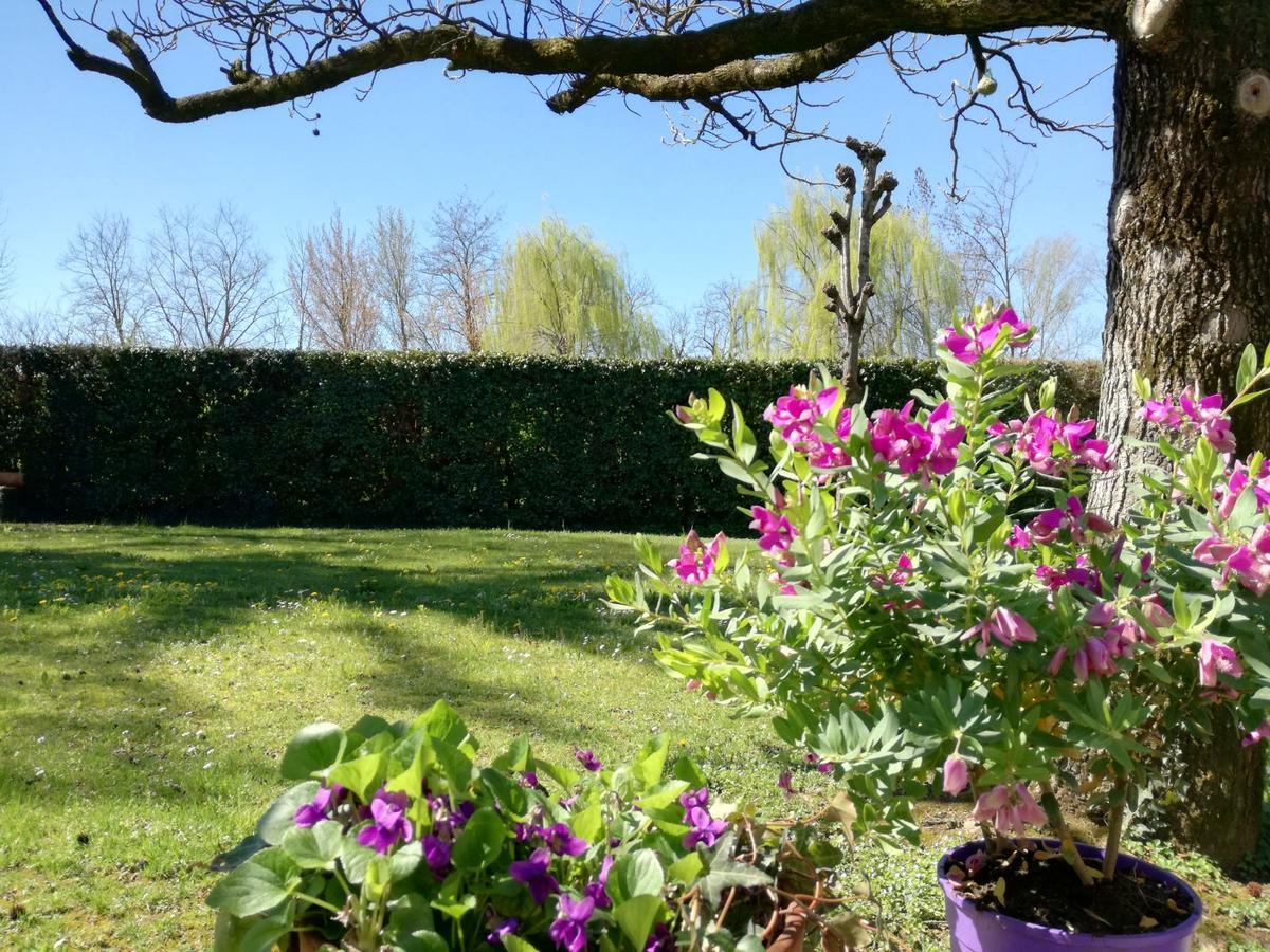 Miotto Bed & Breakfast Montegalda
